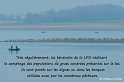 b10_Lac du Der-039tgw_GF